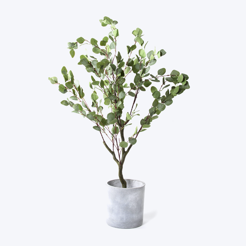 Falsk grön växt och kruka Eucalyptus-s